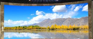 同是4K屏，為什么專(zhuān)業(yè)LED廣告機(jī)能比電視便宜30%？供應(yīng)鏈成本大揭秘”