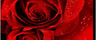  小間距LED屏的像素這么密，是怎么做到不出現(xiàn)顏色偏差的呀？